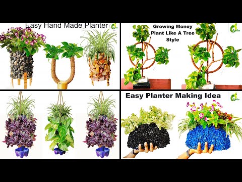 4 Plants Growing & Decoration My Way/how To Showcase Houseplants/Plant Ideas For Room/ORGANIC GARDEN