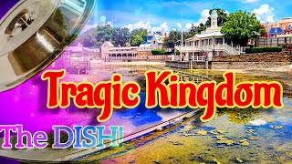 Disney's Tragic Kingdom at Walled Disney World - The DISH!