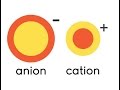 Exploring Cations and Anions for Kids