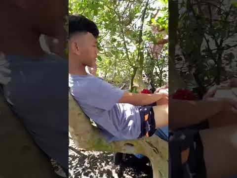 huli kayo kuya