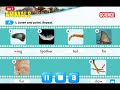 Animal Characteristics and Functions