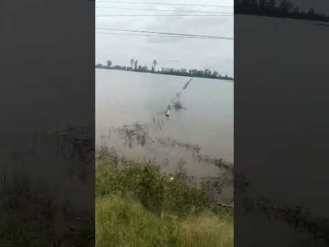 cùng nghe nhạc hay nha cả nhà