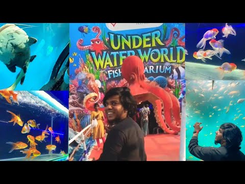 🌊Under Waterworld Aquarium🐠நம்ம சென்னை-ல இந்த மாரி கூட இருக்கா🐬🤩💢}#jagantalks #trending