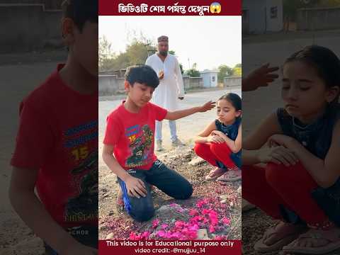 বল্টুর বোনের অনেক ক্ষুধা লেগেছে😱mini wood toy - woodworking art skill /hand crafts।#trending #shorts