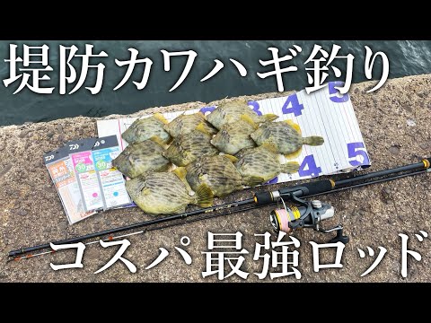 【堤防カワハギ釣りを始めたい方へ！】悶絶アタリも取りやすい3000円のカワハギロッドが激安でスゴイ