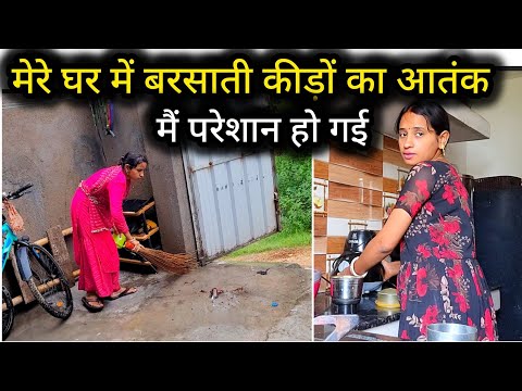 🌧आज तो मैं परेशान हो गई🦀बरसाती कीड़ों के आतंक से Heavy Rainy day Side effects🛑Red alert in my city