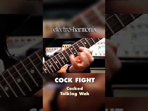 EHX Cock Fight Cocked Wah + Fuzz Pedal Demo by Bill Ruppert