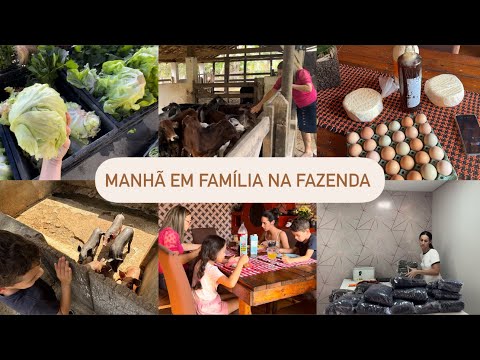 VLOG: caminhada e dia de feira | fomos conhecer a fazenda com a família | queijo direto da roça