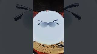 Dolphins use them as a what?! #murdercrumpet #vrchat #cute #funny #funnymoments