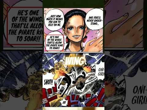 ZORO IS NOT A WING OF THE PIRATE KING #onepiece