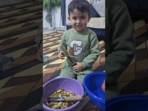 آدم وبلال عم يحفرو بيتنجان🍆😅#هبوش #فاميلي #آدم #بلال #haboshfamily