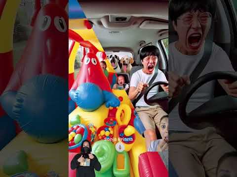 São três!!😜 #funny #music #dog #trending #spiderman #humor #kindnessiscool #comedia