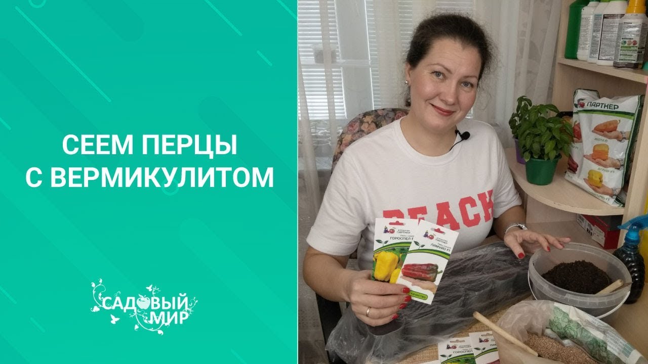 Тонкости посева перца на рассаду с вермикулитом. Рассада в сезон 2020