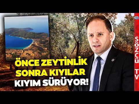 AKP Kıyımda Sınır Tanımıyor! Zeytinlikler Kıyılar... Deniz Yavuzyılmaz Belgelerle Anlattı