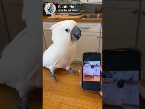 He took that personally 😂