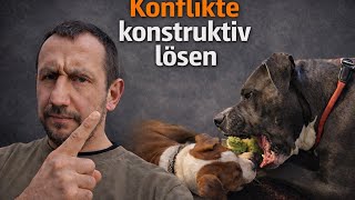 UMGANG MIT FRUST LERNEN - GRENZE SETZEN VON HUNDEN LERNEN