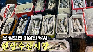 바다에 물고기가 얼마나 많으면 이렇게 잡히는 건가요!?두 마리씩 올라옵니다