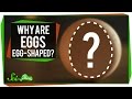 Understanding Egg Shapes