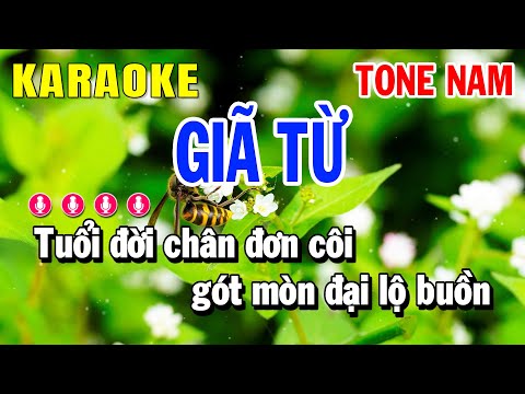 Karaoke Giã Từ Tone Nam | Bolero | Huỳnh Anh