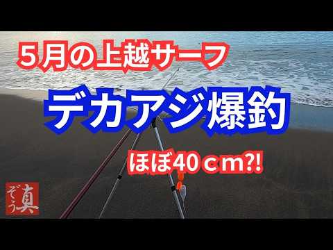 【新潟サーフ】大アジ回遊!サビキでアジ調査したら尺超え連発!実食アジフライタワー