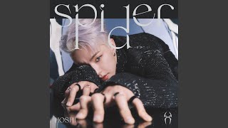 SEVENTEEN - Spider