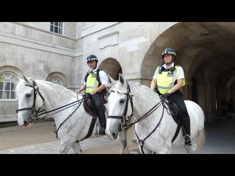 Met Police Mounted Branch