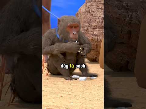 Cách tìm nguồn nước bằng con khỉ 😱#shortvideo