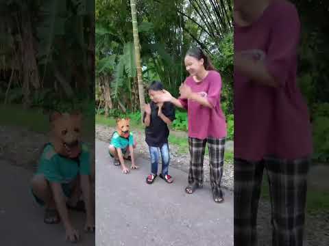 Con chó tài năng được nhận nuôi - Talented dog adopted #shorts