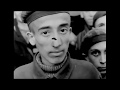 Understanding the Holocaust's Impact