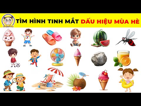 10+15 Câu Đố Vui Hại Não Về Dấu Hiệu Của Mùa Hè Chỉ Những Ai Nhanh Trí Và Tinh Mắt Mới Trả Lời Được