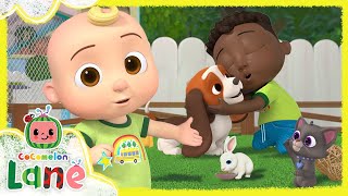 Cody's Doggie Day | NEW CoComelon Lane Episodes on Netflix | Full Episode