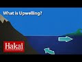 Exploring the Dynamics of Upwelling