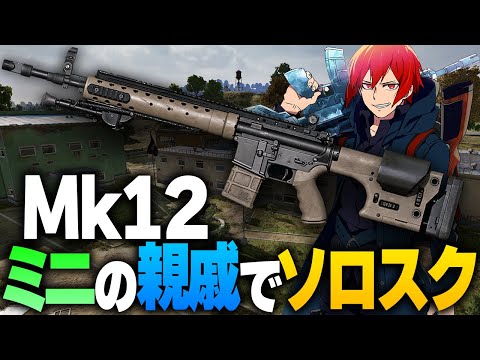 【PUBGモバイル】Mini14の親戚とも呼べるような性能の武器でソロスク【PUBGMOBILE】