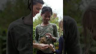 USDA's Food and Nutrition Service Celebrates Farm to School Month