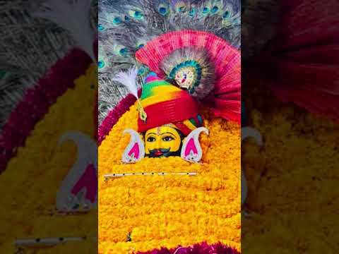 Jay shree khatu shyam baba 🌹🙏| khatu shyam status#trending Khatu Shyam #shortvideo