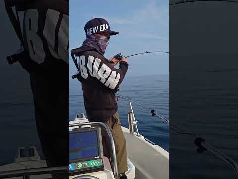 また先を越されました #fishing