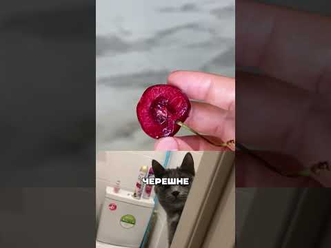 ЖЕСТЬ 🤬 КАК ОТТЕРЕТЬ ПЯТНО С БЕЛОЙ ОДЕЖДЫ 🤯😩