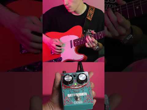 Dos guitarras 🎸🎸 Una Frecuencia 🎛️ Pedal: Gato Muerto by Paradox E #pedalera #pedal #efectos