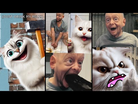 Tom sings vs cat (part 4)