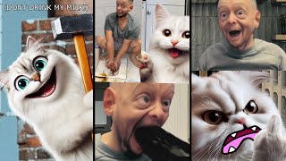 Tom sings vs cat (part 4)
