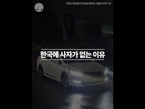 한국에 사자가 없는 이유#Shorts