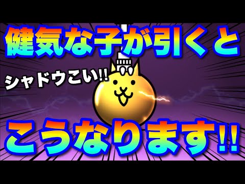 猫の動画サムネイル - シャドウ狙いで健気にガチャ回したらこうなります　　#にゃんこ大戦争　#battlecats  #サブ垢　#コレンジ　#ソニックコラボ