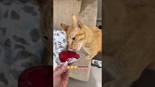 PROVANDO MORANGO DO AMOR