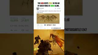 This Bird keeps itself in the air by sheer force of anger alone - Helldivers 2
