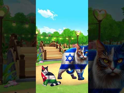 kasian kucing Palestina kelaparan #cat #catlover