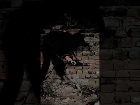 wall cutting very fast #shortvideo #demolition machine #subscribe