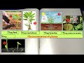 Carnivorous Plants and Their Characteristics