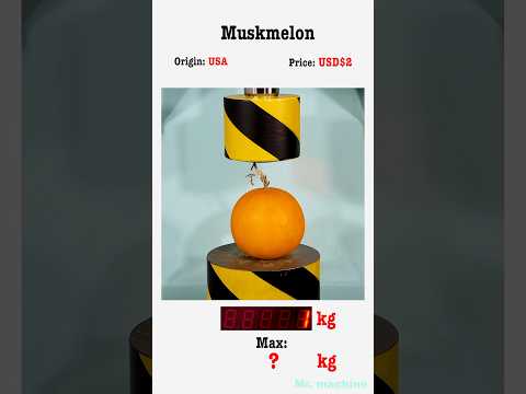 The pressure on Muskmelon.How much?