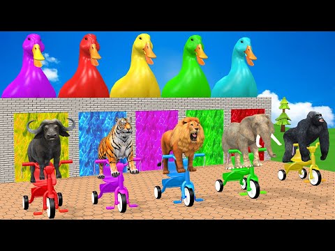 Long Slide Game With Gorilla Elephant Lion Tiger Buffalo - 3d Animal Game - Funny 3d Animals