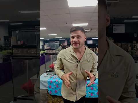 I Just got the most AMAZING NEW animal for our channel! #learn #reptileexpo #herps